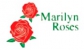 marilyn roses
